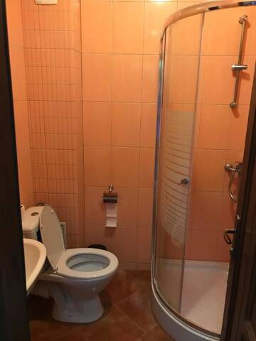 Фото номера Двухместный номер с 1 кроватью и балконом Гостевой дом Pensiunea Casa Soarelui г. Şimian 7
